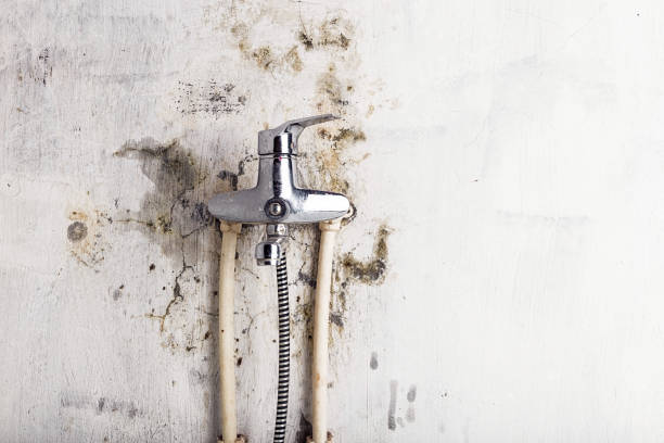 Water Damage Restoration in Pepperdine University, CA