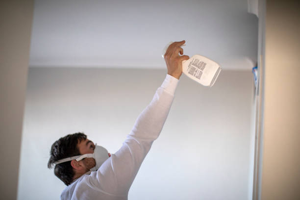 Best Crawl Space Mold Removal  in Pepperdine University, CA