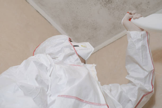 Mold Testing and Removal in Pepperdine University, CA