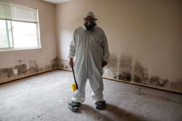 Pepperdine University, CA Mold Removal Company